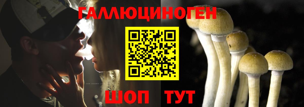 Галлюциногенные грибы Cubensis Абакан
